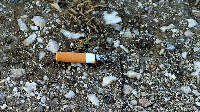 В Раде хотят штрафовать украинцев на 2500 гривен за выброшенные окурки