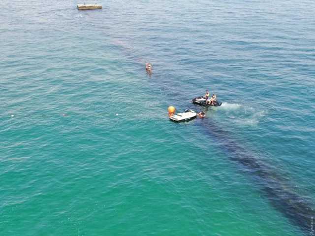 В Одессе спасли дельфинов, застрявших между волнорезами
