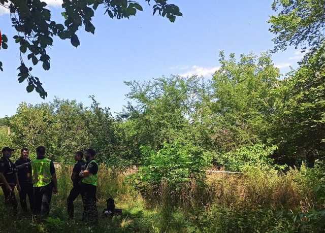 В парке Киева найдена повешенной женщина