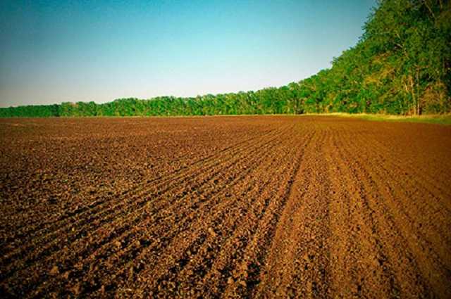 Украинцам рассказали, как стать владельцем земельного пая