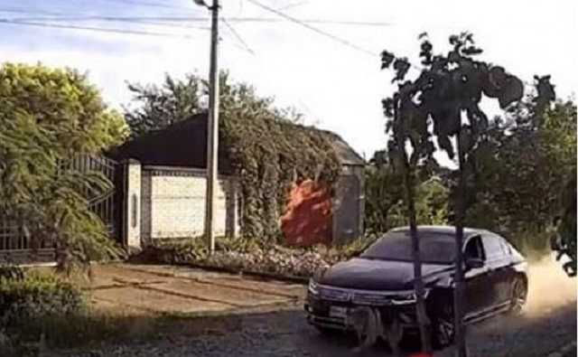 В Подольске водитель Volkswagen гонялся за псом, пытаясь его задавить