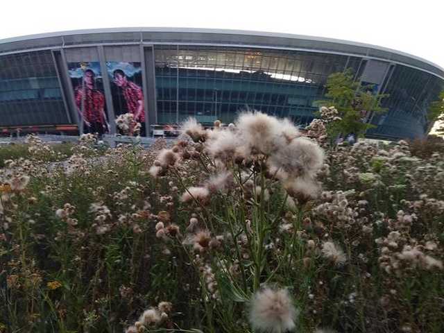 "Состояние "Абхазия"": в сети показали запущенную территорию возле "Донбасс Арены"