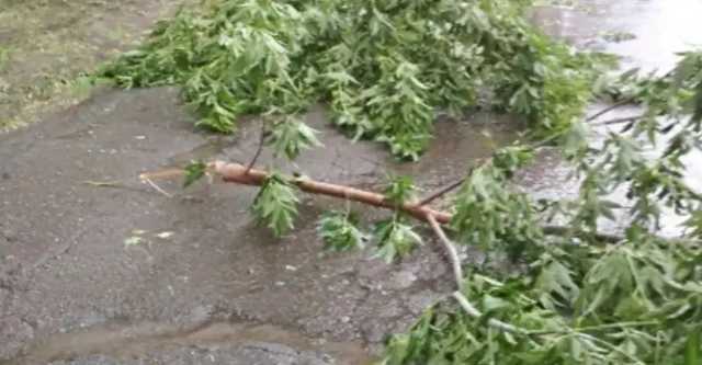 Бардак: тотальная импотенция, некомпетентность и профнепригодность