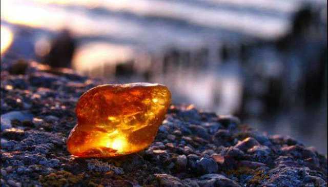 "Бурштиновий рейд" силовиків на Поліссі зірвався через активний спротив видобувачів "сонячного каменю"