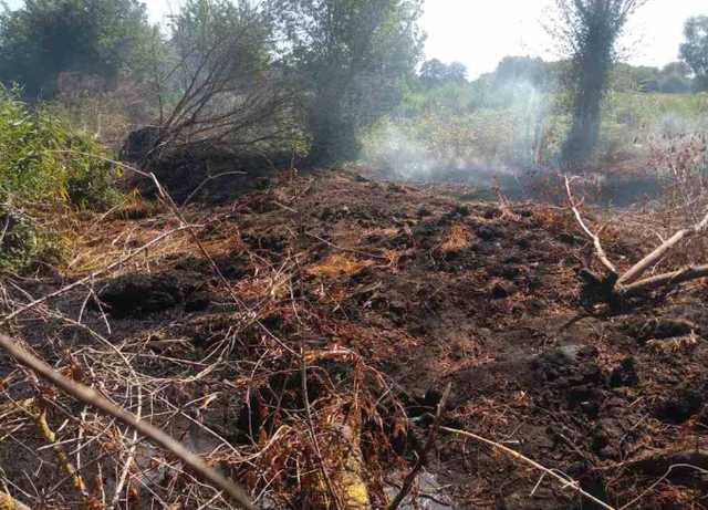 Под Киевом спасатели почти 10 часов тушили пожар на торфянике