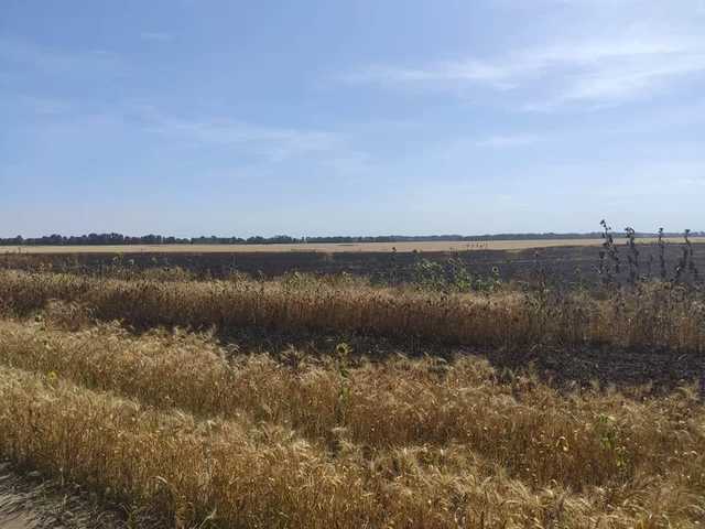На Чернігівщині згоріли шість гектарів пшениці, підозрюють підпал