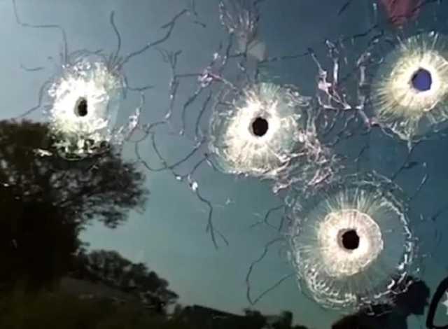 Живий труп або нові пригоди авторитета Мазура