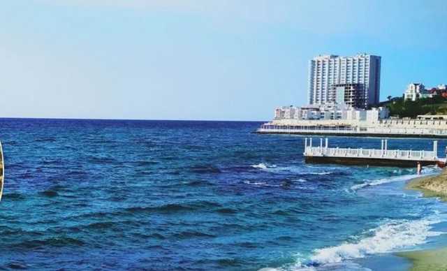 На пляжах в Одессе обнаружены тонны токсичных водорослей: воду сравнили с "киселем"