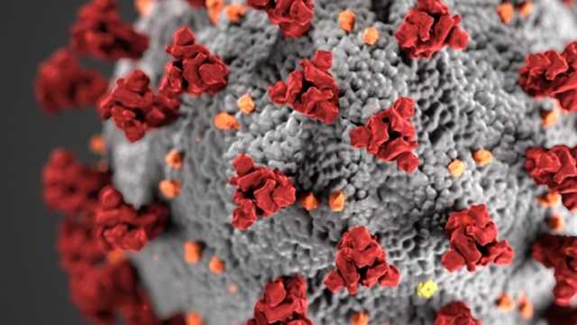 «Минздрав ДНР» сообщил о большом числе зараженных коронавирусом, среди прибывших из Украины