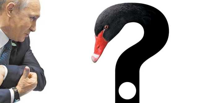 Россия ждет прилет нового «черного лебедя» уже этой осенью