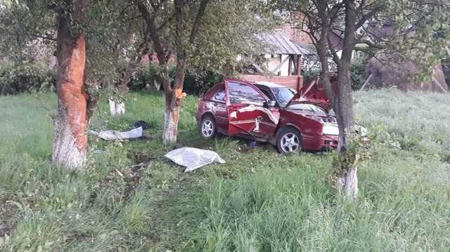 Под Ужгородом автомобиль врезался в дерево. Погибли два человека, двое в больнице