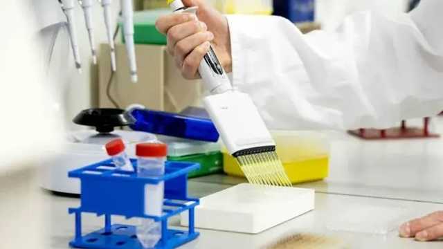 ВОЗ: Антитела к коронавирусу есть менее чем у 10% населения Земли