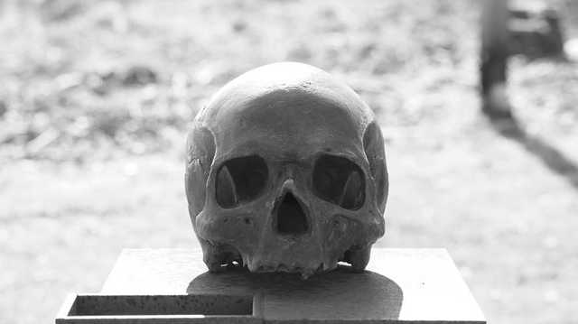 На севере Китая умер от чумы мужчина