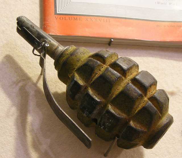 В Запорожской области мужчина покончил с собой, подорвавшись на гранате