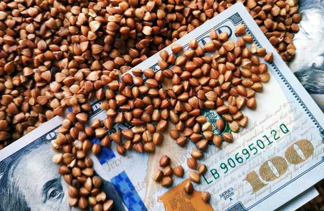 Эксперты прогнозируют дальнейшее подорожание гречки. Крупа рискует стать дефицитной