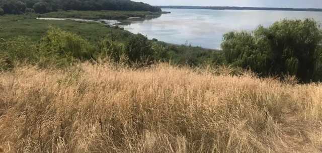 В полиции рассказали, что стало причиной убийства 12-летней девочки на Киевщине