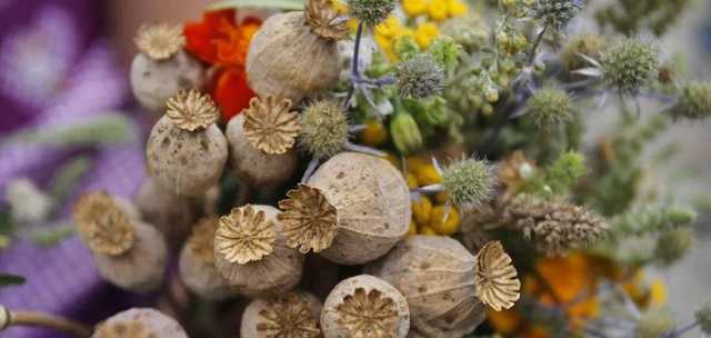 Медовый спас: ПЦУ развенчала главный миф о Маковее