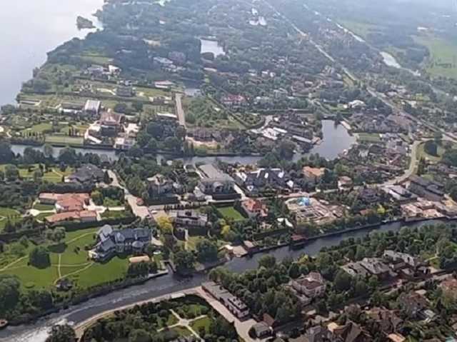 В Конча-Заспе ввели карантин из-за бешенства