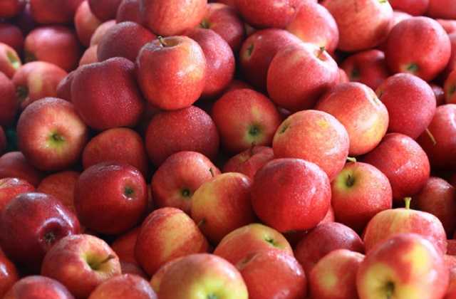 Украинцам назвали тройку самых подорожавших продуктов