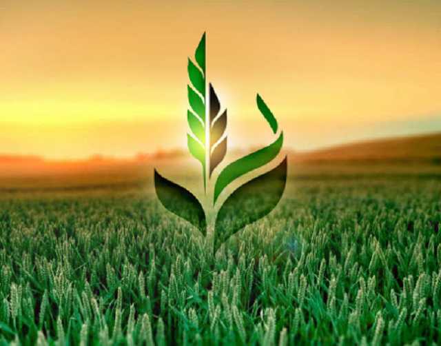 Разворовали госпредприятие: Агрофонд показал более 200 млн убытка