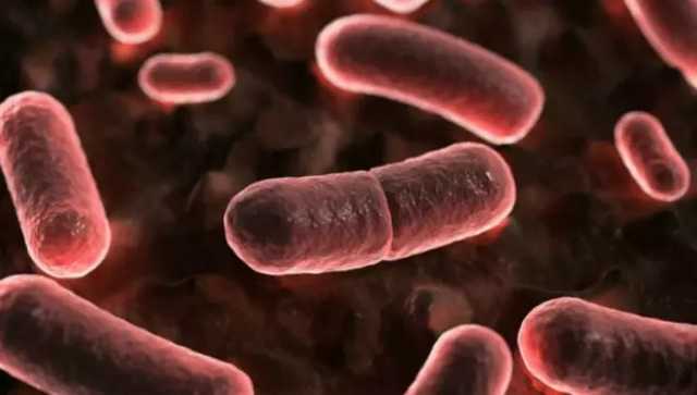 В США выявили случай заражения человека бубонной чумой