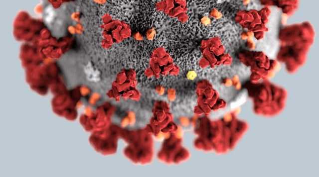 В Украине "рекордные" 1 967 новых случаев коронавируса за сутки