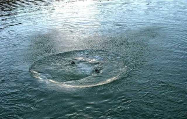 С начала месяца утонули более 120 украинцев