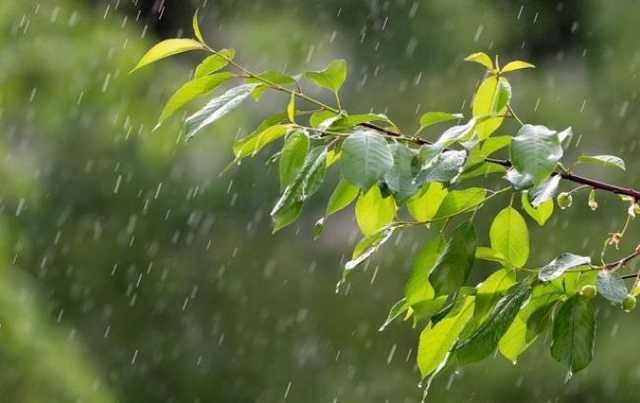 В Украину придут дожди и похолодание: синоптик дала прогноз на выходные