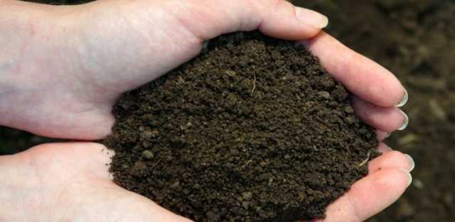 В Запорожье разоблачили оценочное предприятие на "земельной" схеме