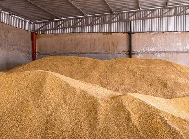 Власть Зе! и Симонян, Чепченко, Аврумов – организаторы криминальной фумигации