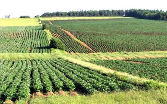 Агрохолдинги стали причиною соціальної та демографічної кризи в селах – експерт