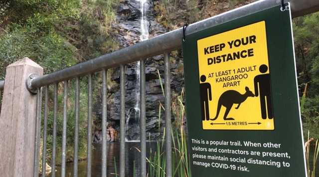 В Австралії жінка проведе пів року у в’язниці, бо порушила правила карантину