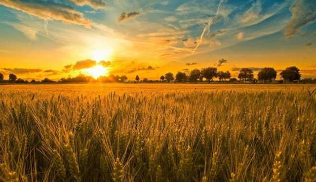 Август порадует жарой: синоптики рассказали о погоде в последние дни лета