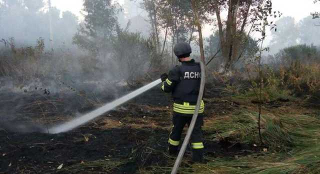 В Харьковских лесах начался новый пожар