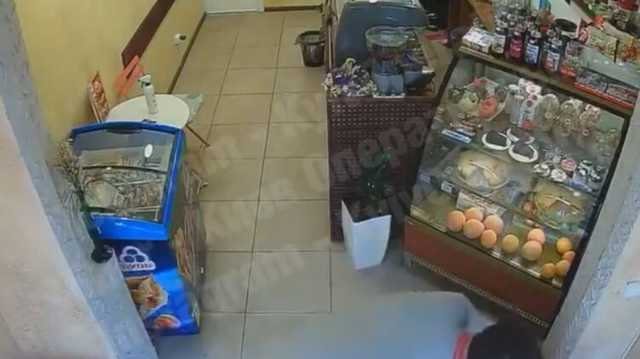 Появилось видео, как неадекватный человек пытался ограбить и избил в Киеве баристу