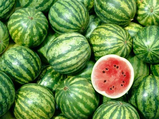 Ціни на кавуни в Україні впали до мінімуму за сезон