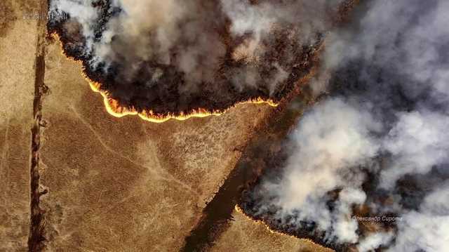 В Чернобыльском заповеднике предупредили об угрозе пожаров в зоне отчуждения