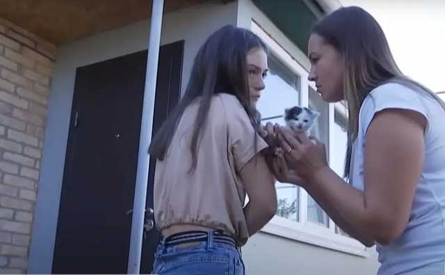 В Кропивницком директор школы написала заявление на учеников, спасших котенка