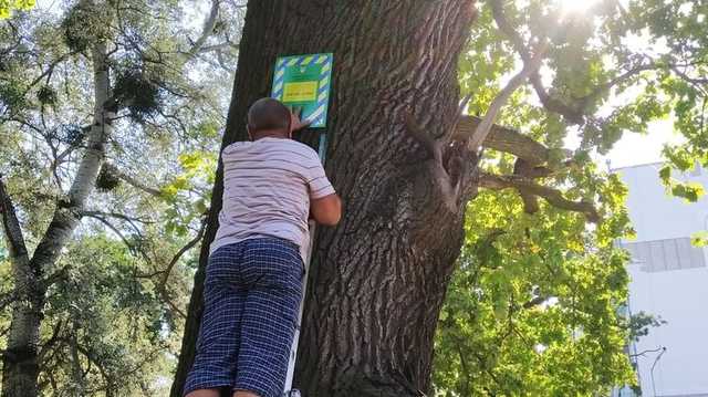 На "Дереве Цоя" в Киеве установили охранный знак