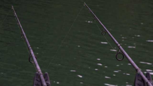 В Украине собираются существенно поднять штрафы за незаконный вылов рыбы