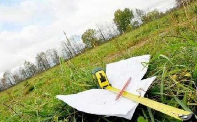 Экс-чиновнимк Госкомзема, назаконно продавший земли под Киевом, избежал наказания