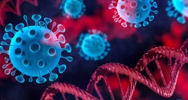 Ученые нашли вещество, нейтрализующее коронавирус