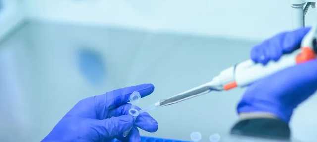 Из антител лошадей создали дешевое лекарство от коронавируса