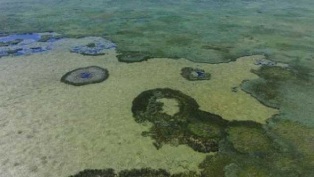 Как Украина превращается в сухое болото