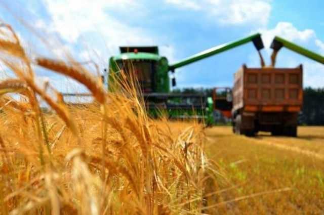 Отчетность Госпредприятия «Благодатное» говорит о его намеренном уничтожении директором Денисом Строгим