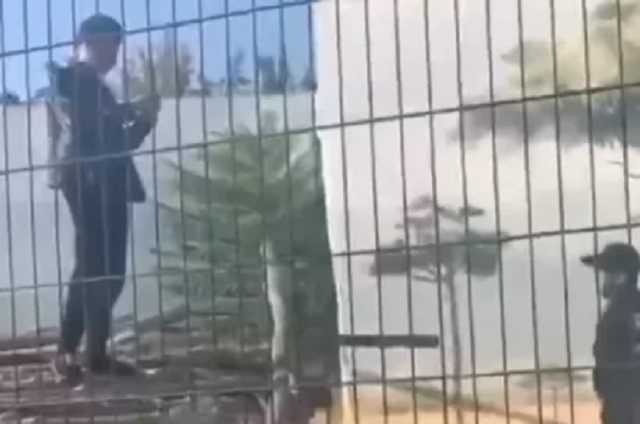 В Одесском биопарке любитель селфи проник в вольер со львами