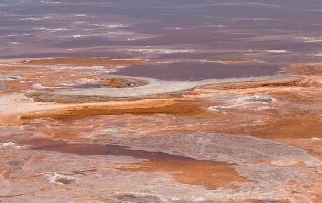 В Одесской области пересыхают Тузловские лиманы