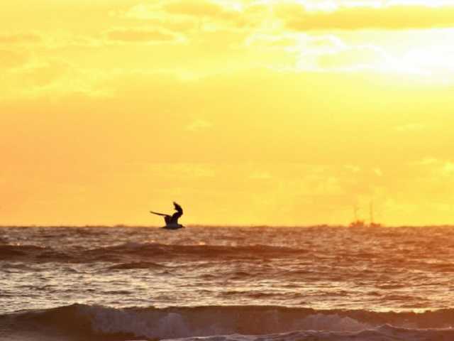 У берегов Дании столкнулись российский фрегат и гражданское судно