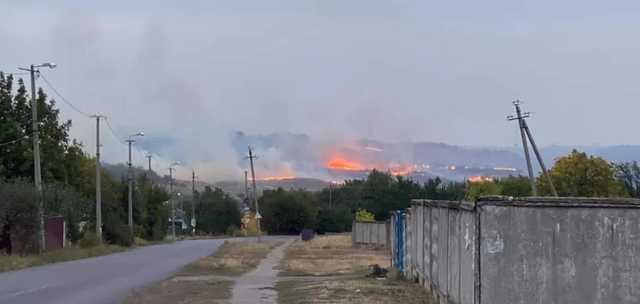 На Донетчине вспыхнул масштабный лесной пожар