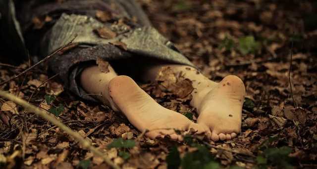 В Кривом Роге в кустах обнаружили обезглавленное тело мужчины